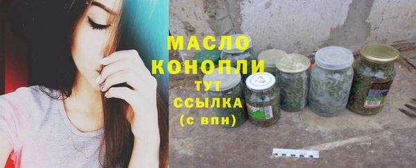 хмурый Ельня