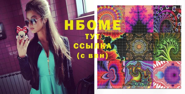 хмурый Ельня