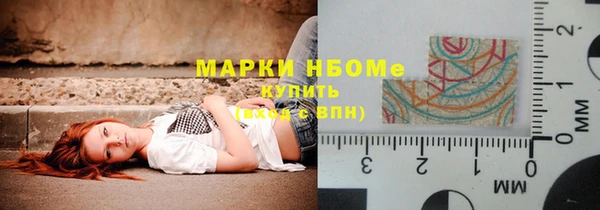 хмурый Ельня