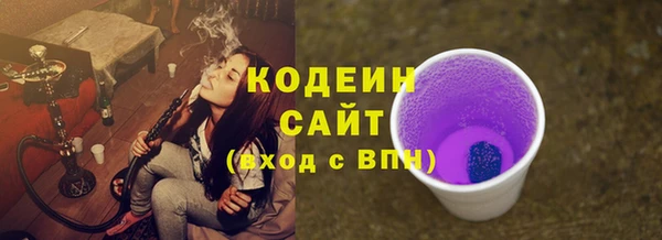 хмурый Ельня