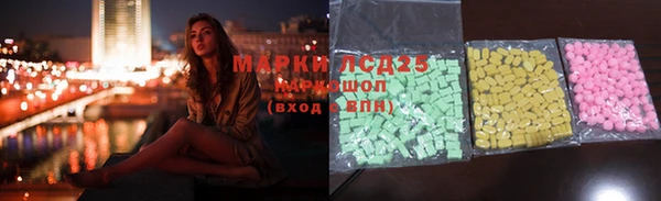 хмурый Ельня