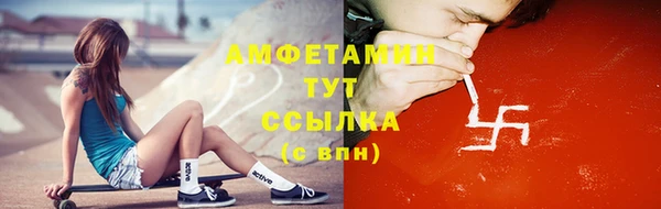 шишки Щигры