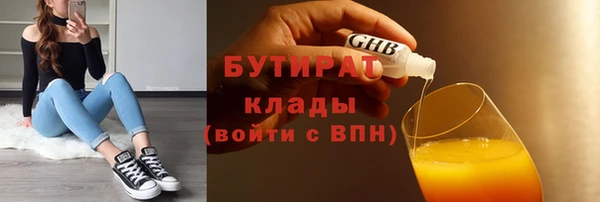 хмурый Ельня