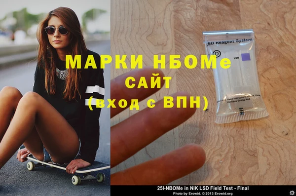 хмурый Ельня