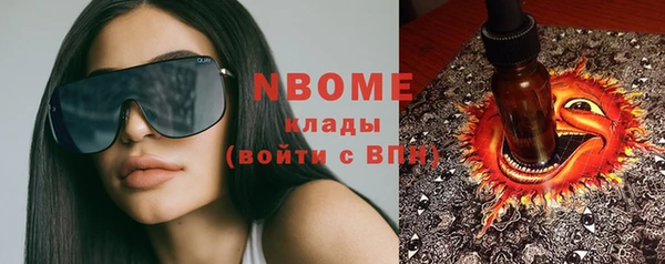 хмурый Ельня