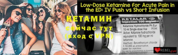 хмурый Ельня
