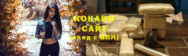 хмурый Ельня