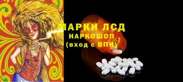 хмурый Ельня