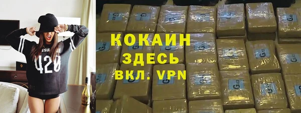 хмурый Ельня