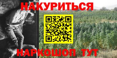 a pvp Гай