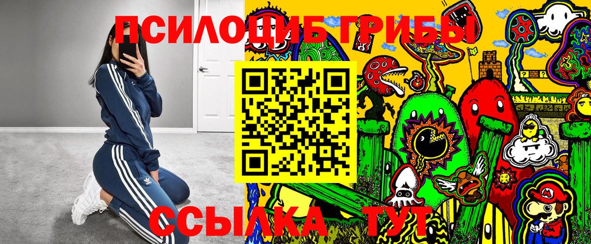 Галлюциногенные грибы GOLDEN TEACHER  Вход с VPN  Зеленокумск  Псилоцибиновые грибы MAGIC MUSHROOMS 